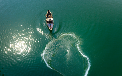 Mastering the Art of Fishing Techniques: Tips and Tricks for a Successful Catch