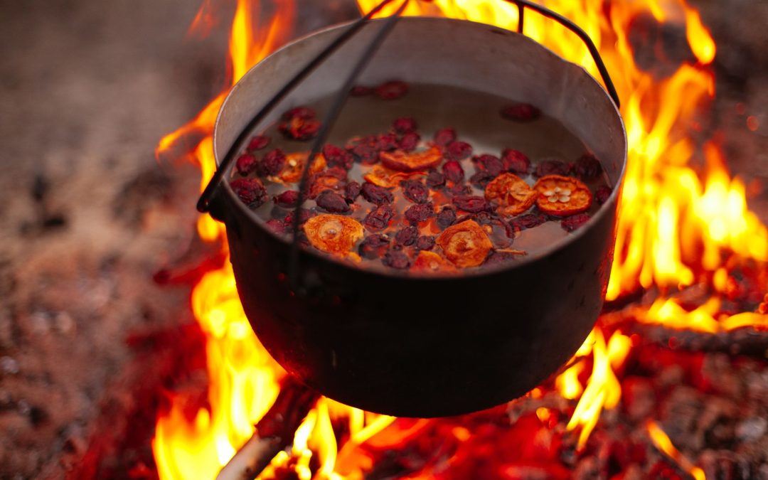 The Benefits of Cooking Outdoors: Why You Should Try Campfire Cooking