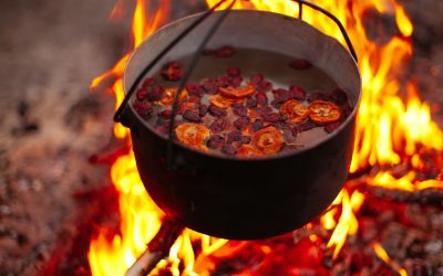 The Benefits of Cooking Outdoors: Why You Should Try Campfire Cooking