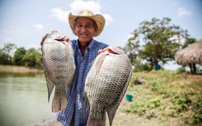 The Benefits of Fishing for Mental Health and Stress Relief