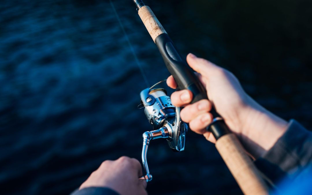 The Best Fishing Gear and Equipment for Beginners