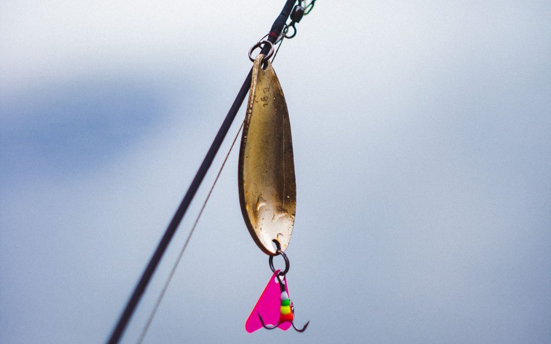 The Best Lures and Baits for Different Types of Fish